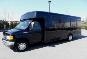 18 Passenger Party Buses Indianapolis